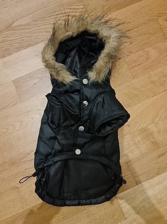 Wintermantel Hund
