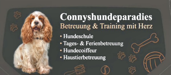 Hundebetreuung, Hundeschule