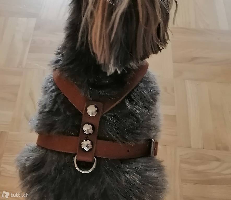 Utility Hundegeschirr neu für kleinen Hund