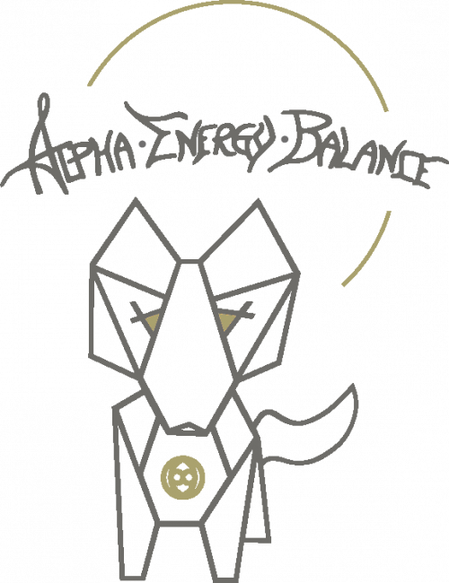 Alpha Energy Balance GmbH