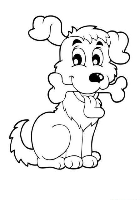Biete Hundebetreuung/-Spazierdienst Bern, Vormittag bis über Mittag