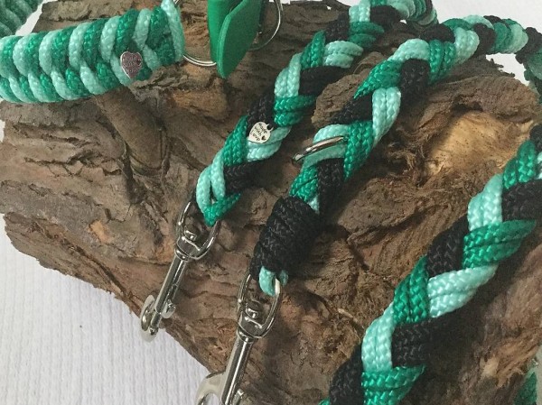 Hundeleine /Hundehalsband L/XL (NEU)