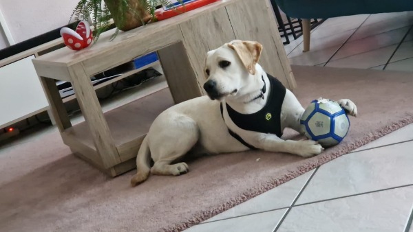Nora sucht ein neues Zuhause
