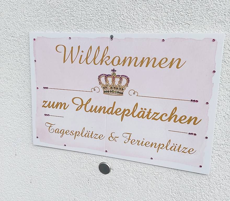 Hundebetreuung für Senioren Hunde